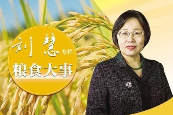 粮食仓储加速绿色转型
